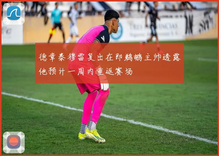 德章泰穆雷复出在即鹈鹕主帅透露他预计一周内重返赛场